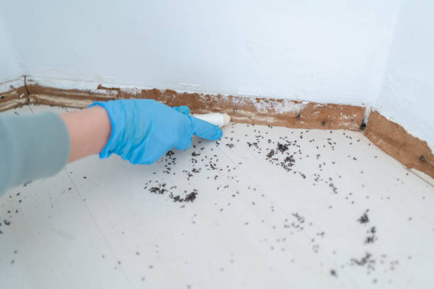 Best Pest Removal Services  in Duboistown, PA
